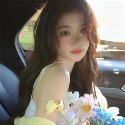 极限野营 在线观看封面