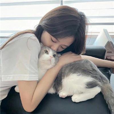 勃朗特姐妹 在线观看封面